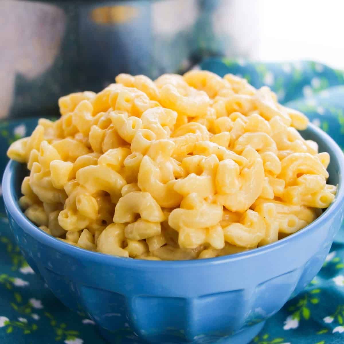Creamy macaroni and cheese with a golden cheese crust in a baking dish